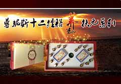 尊妮斯十二经络全身调理